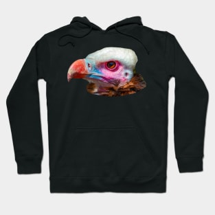 Head of a White Faced Vulture Hoodie